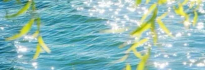天使靈氣 療癒師階